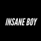 INSANE BOY