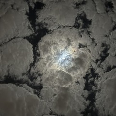 M.