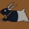 stinky beani