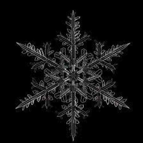 Studio Project 6 Demo