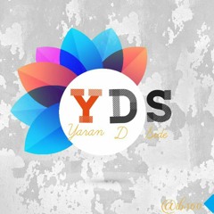 Y,D,S Guyz