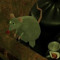 number 19 mouse in baked beans