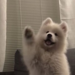 Ruuxi