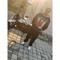 mrmz_practised