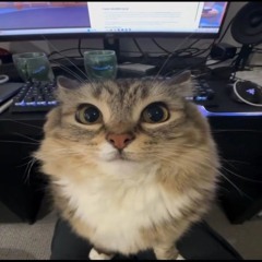 Lefty Espíritu 😾