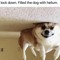 memegod123
