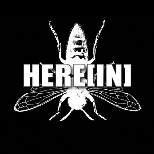 SoundCloud profile picture for @herein