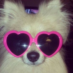 𝘳𝘢𝘳𝘪𝘵𝘺 🐮