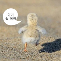 야들야들 병아리