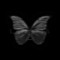 butterfly 🦋