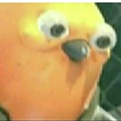 a frickin pigeon