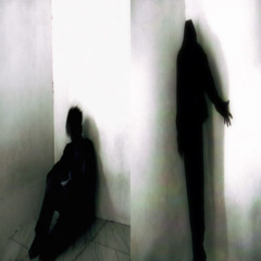 Fv.++is