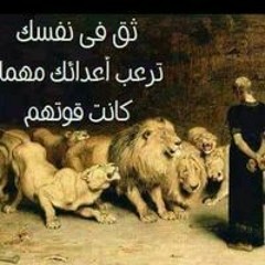 سيد رزق بخيت