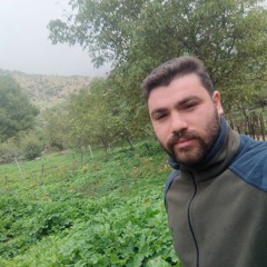 amir akbari