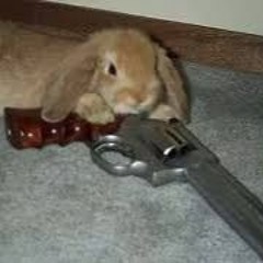 BunWithGun