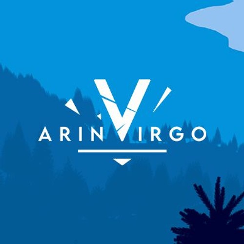 Arin Virgo’s avatar