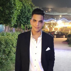 Mohamed Ahmed Aly Aly