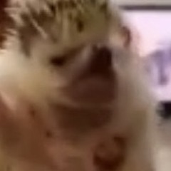Imkindabadat_games1