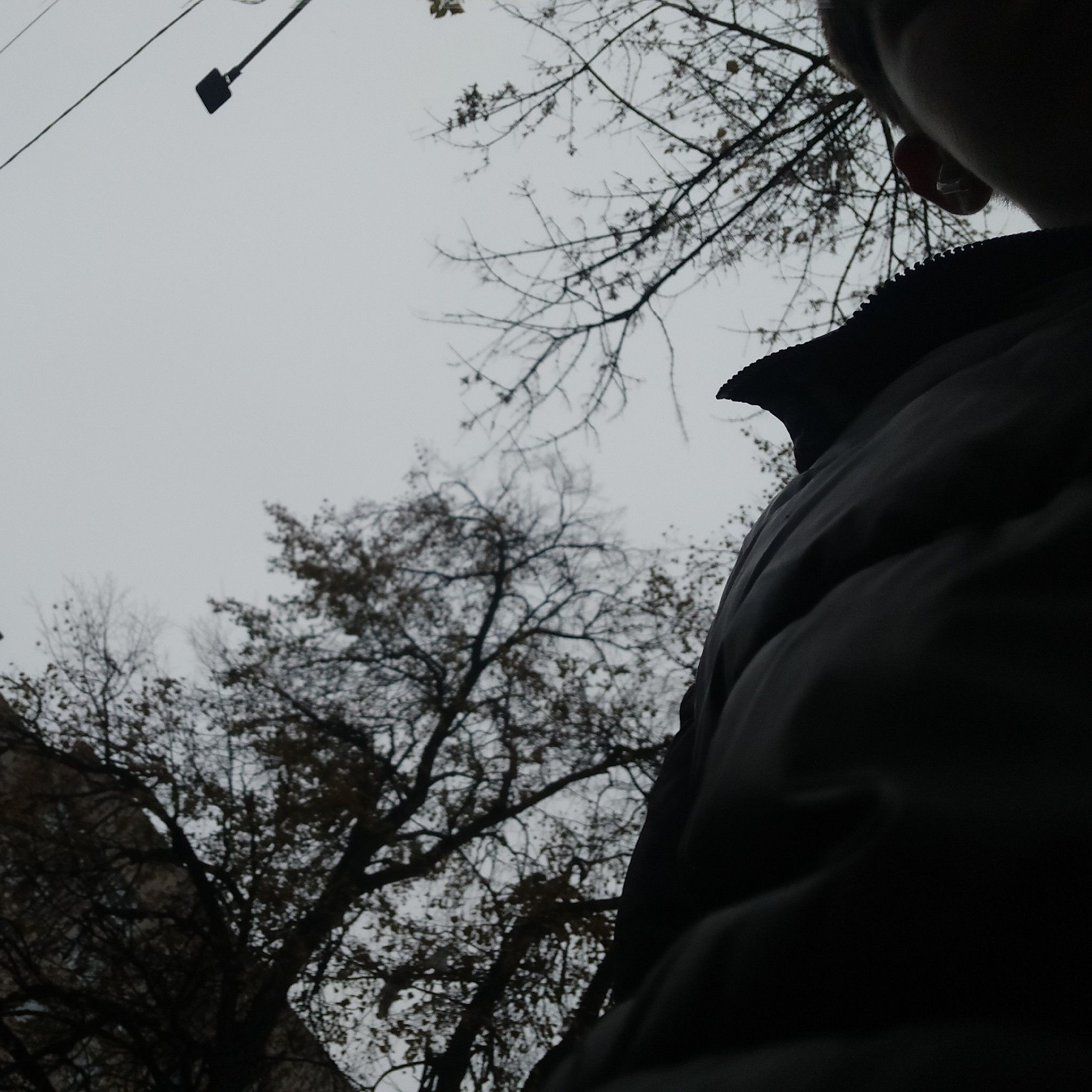 принц башкортостана