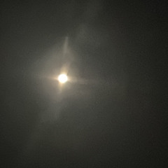 iuru