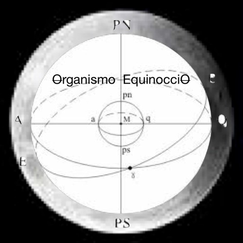 Organismo Equinoccio’s avatar