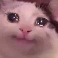 H E E E