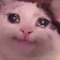 H E E E