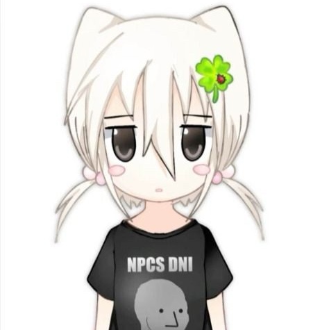 goshapluggXD