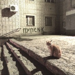 #псиnalvl saba4ka бля