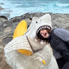 ☺︎ Ross From Friends USB stick (96% PURE LOFI HOUSE) - part 2