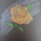 Florwll