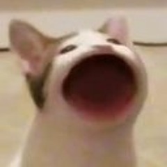 TriRetr0