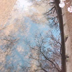 Encounter in Mirrors