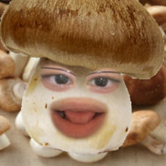 개미새끼의 플리창고다 ㅗ