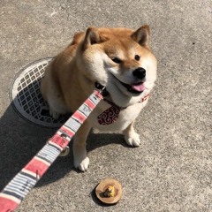 shibainumapuuuuu