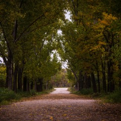 New Path Productivity®, LLC