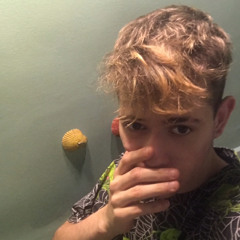 kamillo_1