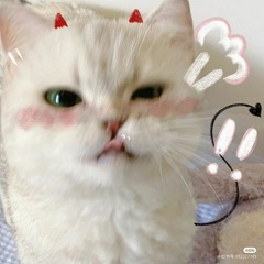 ₍⑅ᐢ..ᐢ₎♥︎