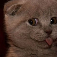 notsuffermanipulation