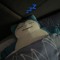 Snorlax🌊
