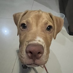 Baru