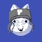 Terplo NiceHat