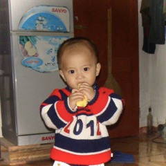Phan Hoang Son