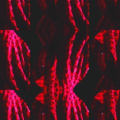 shloxø