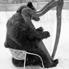 Musician.bear.56