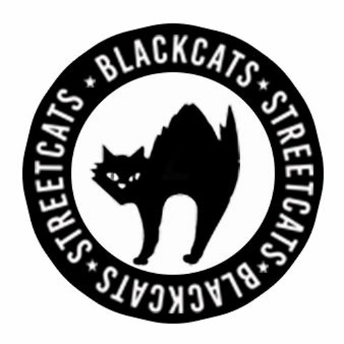 Black Cats’s avatar