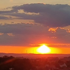 CORONA CRINGE MAFIA x FAME4THEMONEY