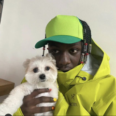 fulguanimalu
