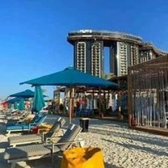 محمود بهاء