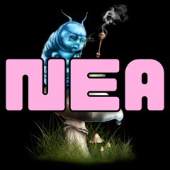 🧚‍♀️NEA🧚‍♀️